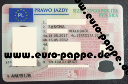 2017-05-ohne-mpu-polen