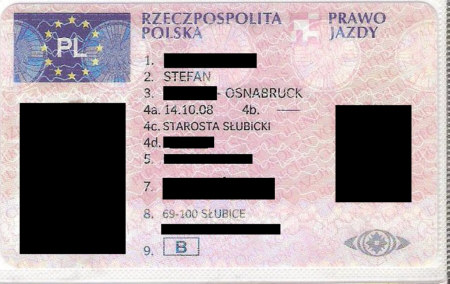 eu fs polen