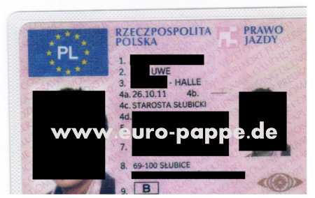 euro pappe führerschein