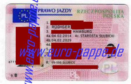 fahrerlaubnis polen