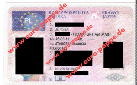 fahrschule polen mpu