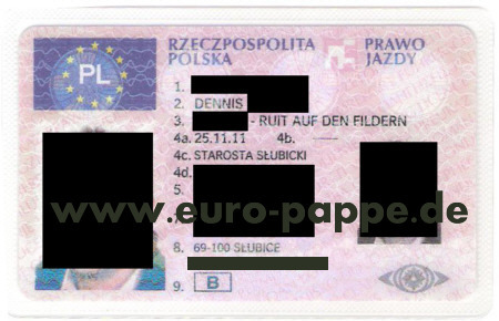 fahrschule polen mpu