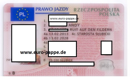 polen fahrerlaubnis